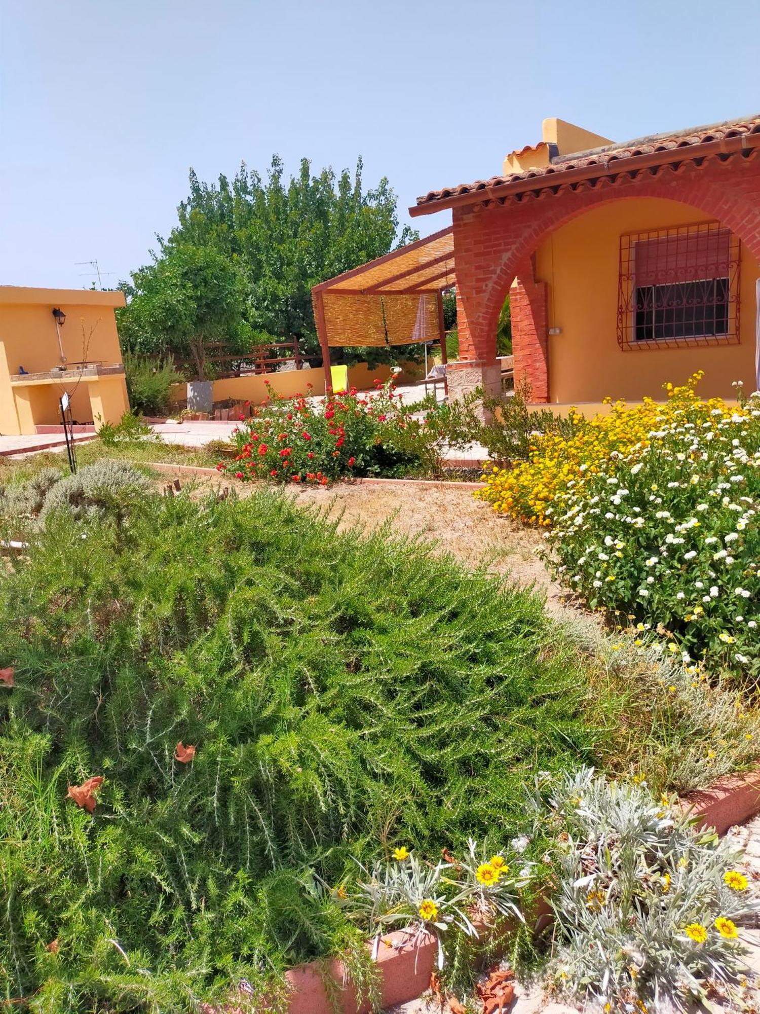 Casa Marina Lu Tuvaraggiu Casa Vacanze Sorso Eksteriør bilde